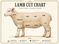 Whole Lamb