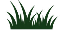 Grass-finished or grain-polished