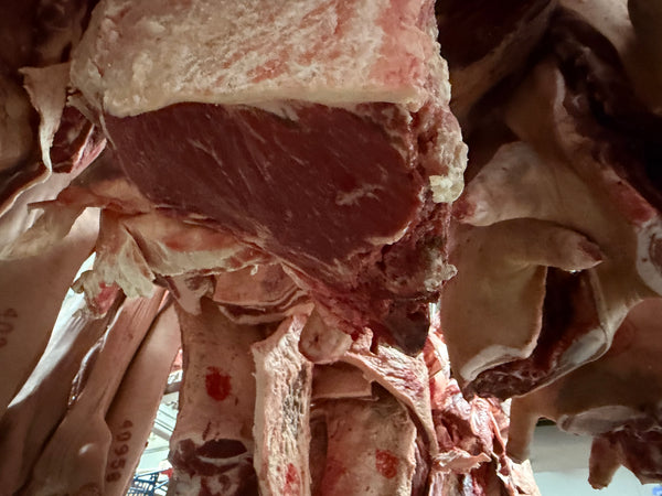 Quarter Cow Beef Bulk Pack 45kg — Grass-Fed, Boxed & Vacuum-Packed (Family Farm Direct)