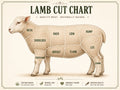 The Beef Bus lamb cut chart illustrating various meat cuts like rack, loin, and leg for custom butchery orders.