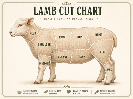The Beef Bus lamb cut chart illustrating various meat cuts like rack, loin, and leg for custom butchery orders.